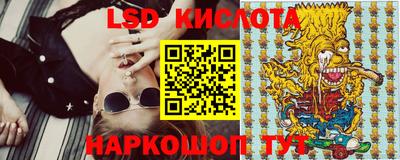 прущие грибы Обнинск