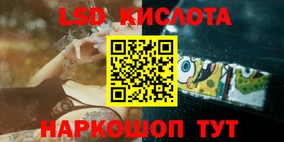 прущие грибы Обнинск
